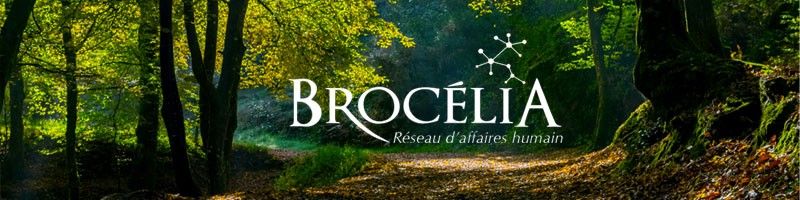 Brocelia